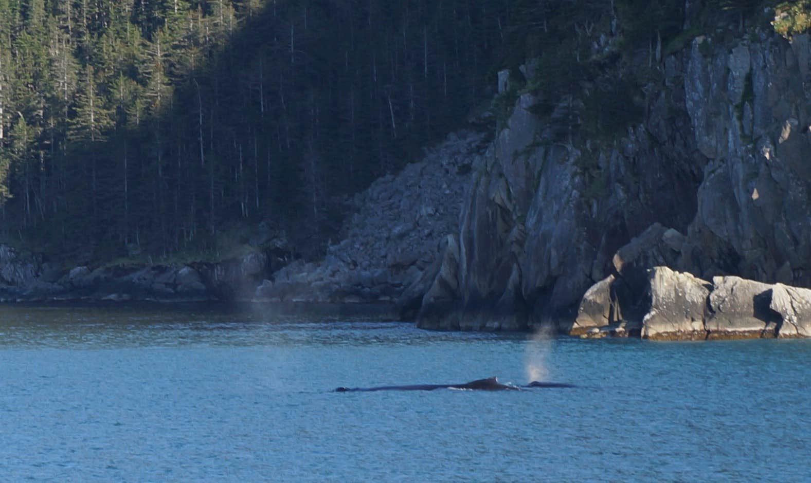 Camper submitted image from Kenai Fjords National Park Cabins - 4