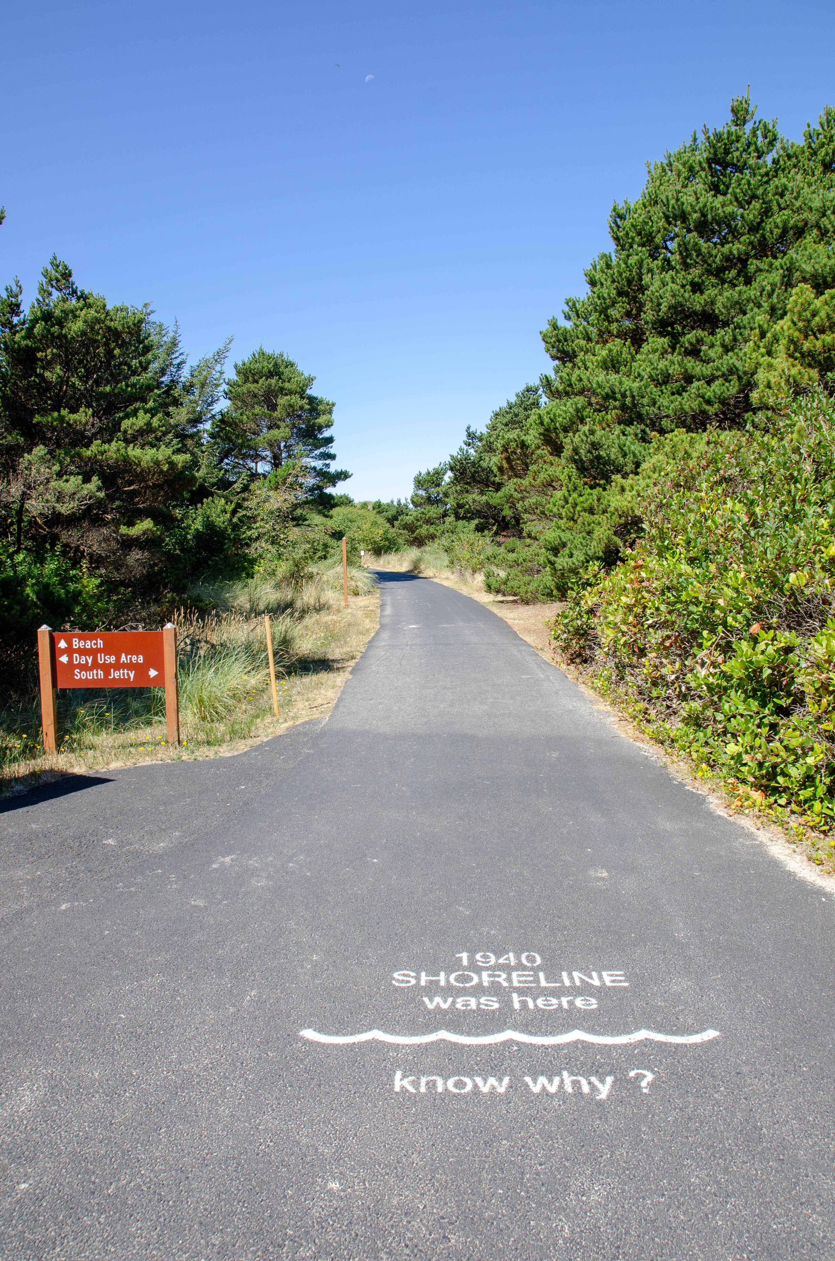 Camper submitted image from South Beach State Park Campground - 4