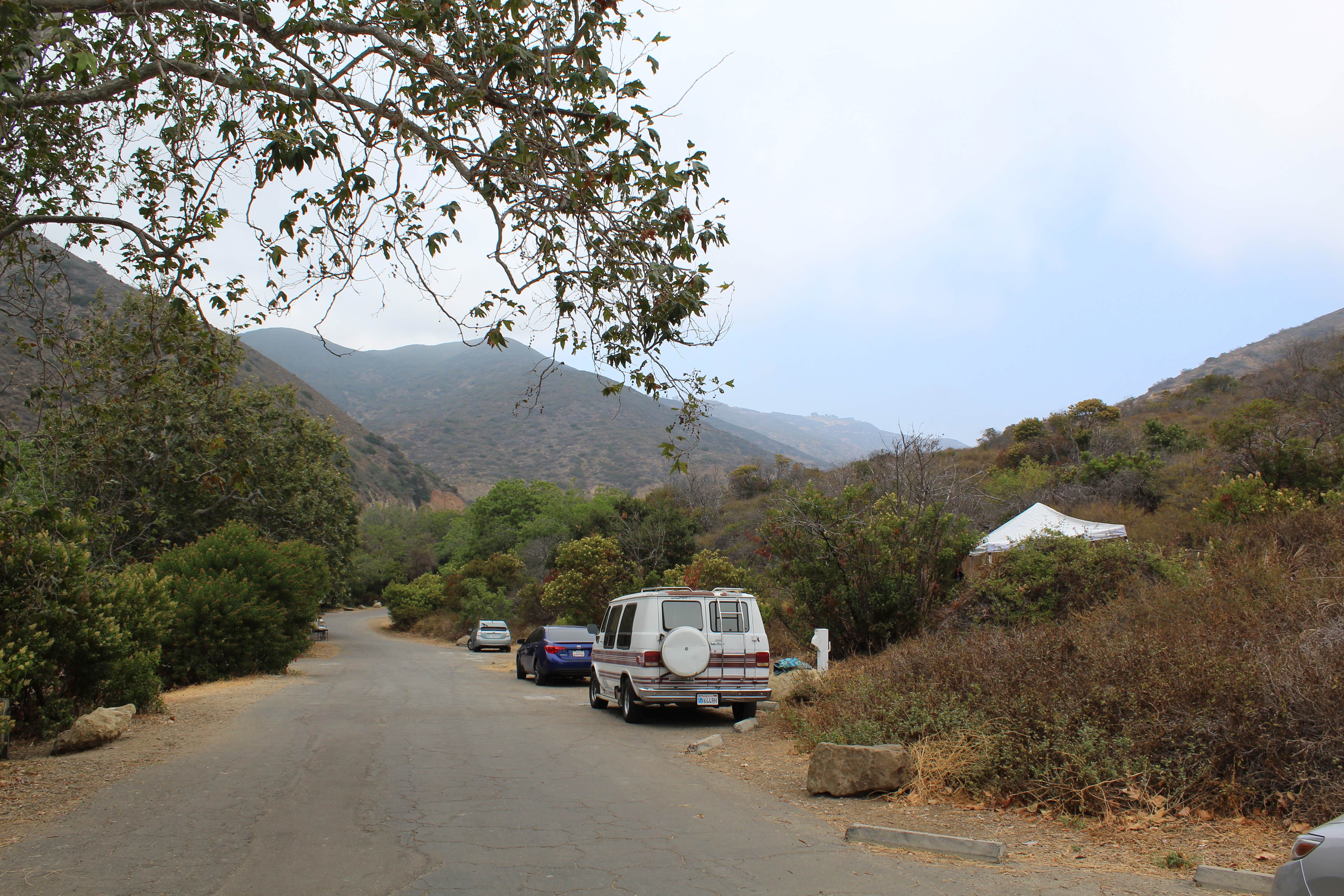 Camper submitted image from Canyon Campground — Leo Carrillo State Park Campground - 3