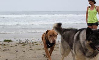 Les R.'s photo of camping with pets at Canyon Campground — Leo Carrillo State Park Campground near Santa Monica Mountains National Recreation Area
