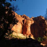 Review photo of Zion RV and Campground (Hi-Road) by Carla S., July 30, 2016