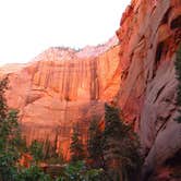 Review photo of Zion RV and Campground (Hi-Road) by Carla S., July 30, 2016