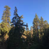 Review photo of Buckhorn Campground by Leslie R., August 6, 2018