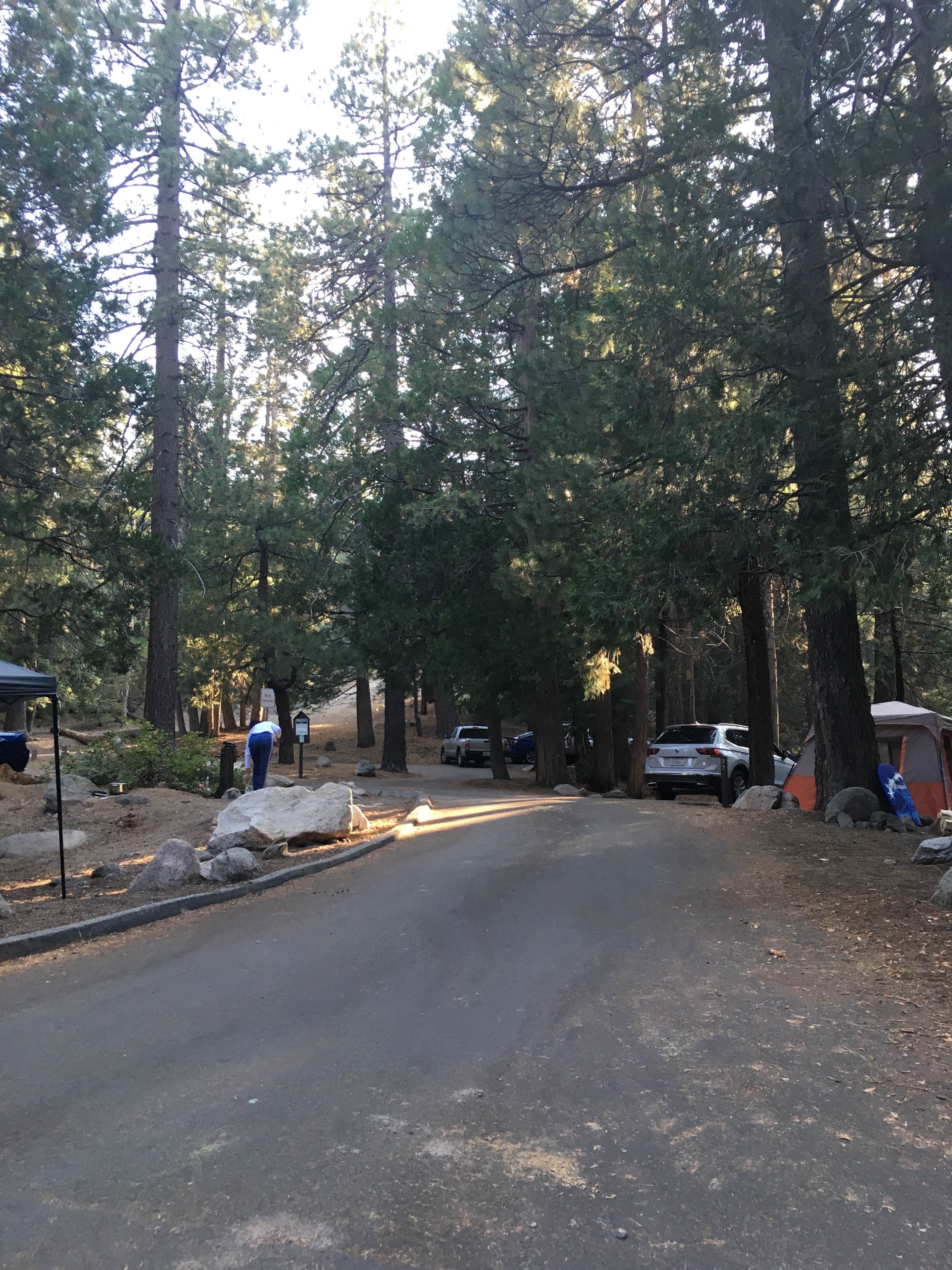 Camper-submitted photo at Buckhorn Campground near Mount Baldy, CA