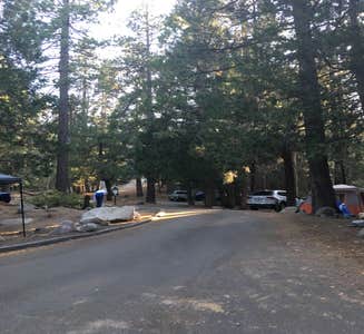 Camper-submitted photo from Angeles National Forest Chilao Campground
