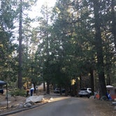 Review photo of Buckhorn Campground - Temporarily Closed by Leslie R., August 6, 2018