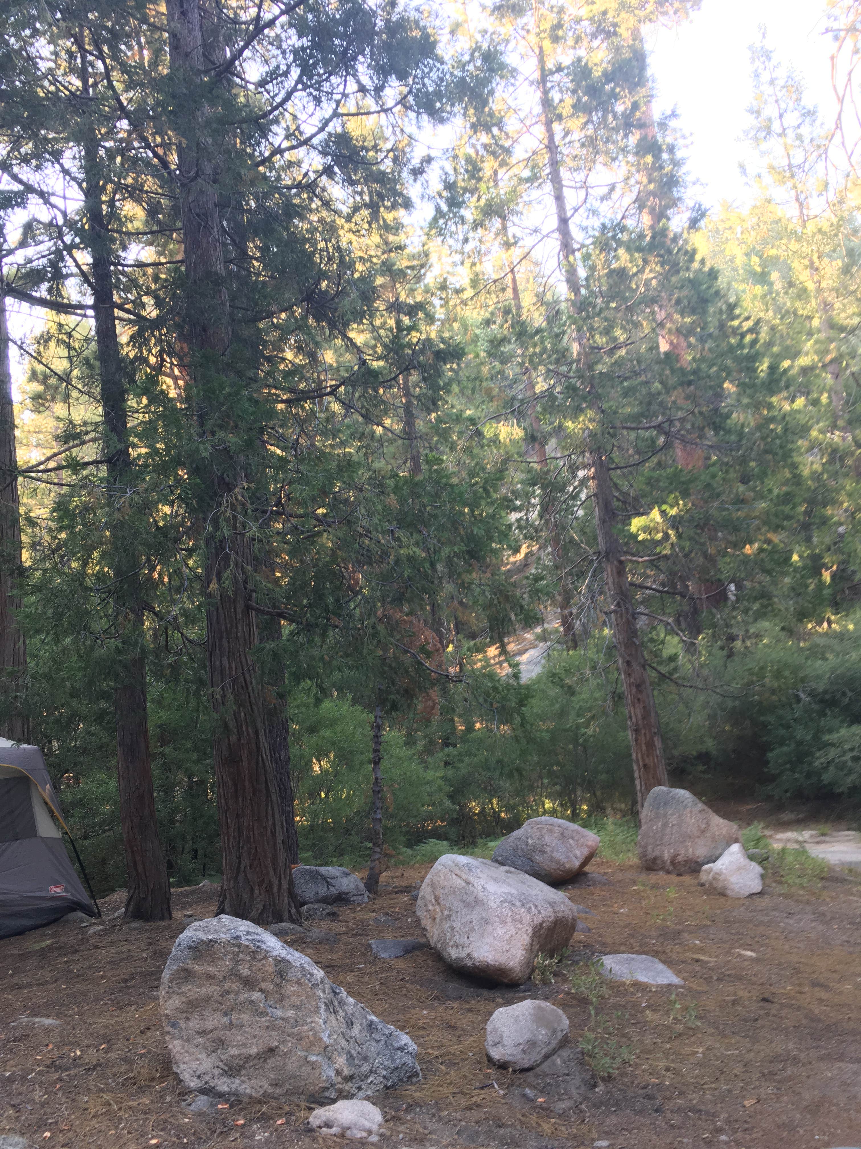 Camper-submitted photo at Buckhorn Campground near Mount Baldy, CA