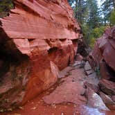 Review photo of Zion RV and Campground (Hi-Road) by Carla S., July 30, 2016
