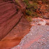 Review photo of Zion RV and Campground (Hi-Road) by Carla S., July 30, 2016