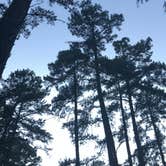 Review photo of Petit Jean State Park — Petit Jean State Park by emmy , August 6, 2018
