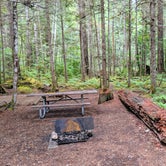 Review photo of Goodell Creek Campground — Ross Lake National Recreation Area by John R., August 6, 2018