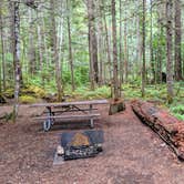 Review photo of Newhalem Creek Campground — Ross Lake National Recreation Area by John R., August 6, 2018