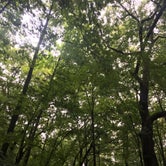 Review photo of Mill Bluff State Park Campground by Paige J., August 6, 2018