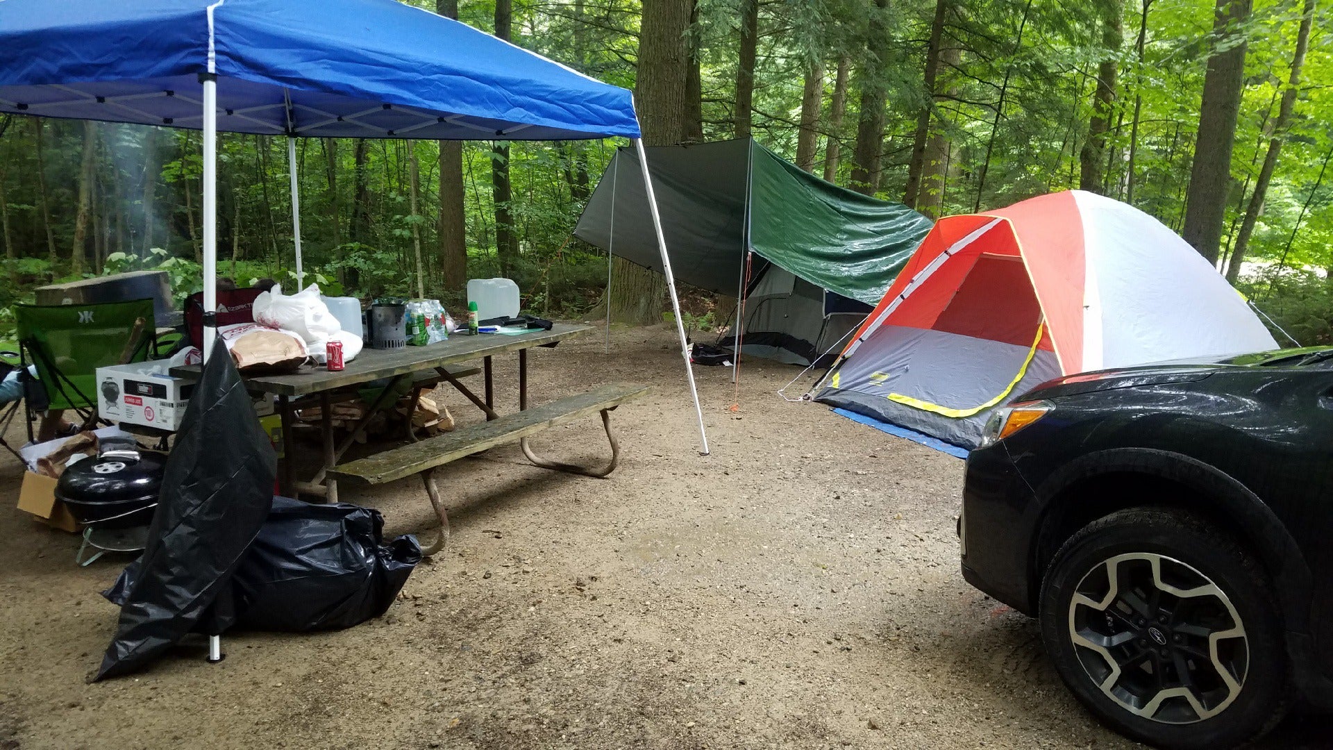 our campsite had ample space