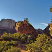 Review photo of Zion RV and Campground (Hi-Road) by Carla S., July 30, 2016