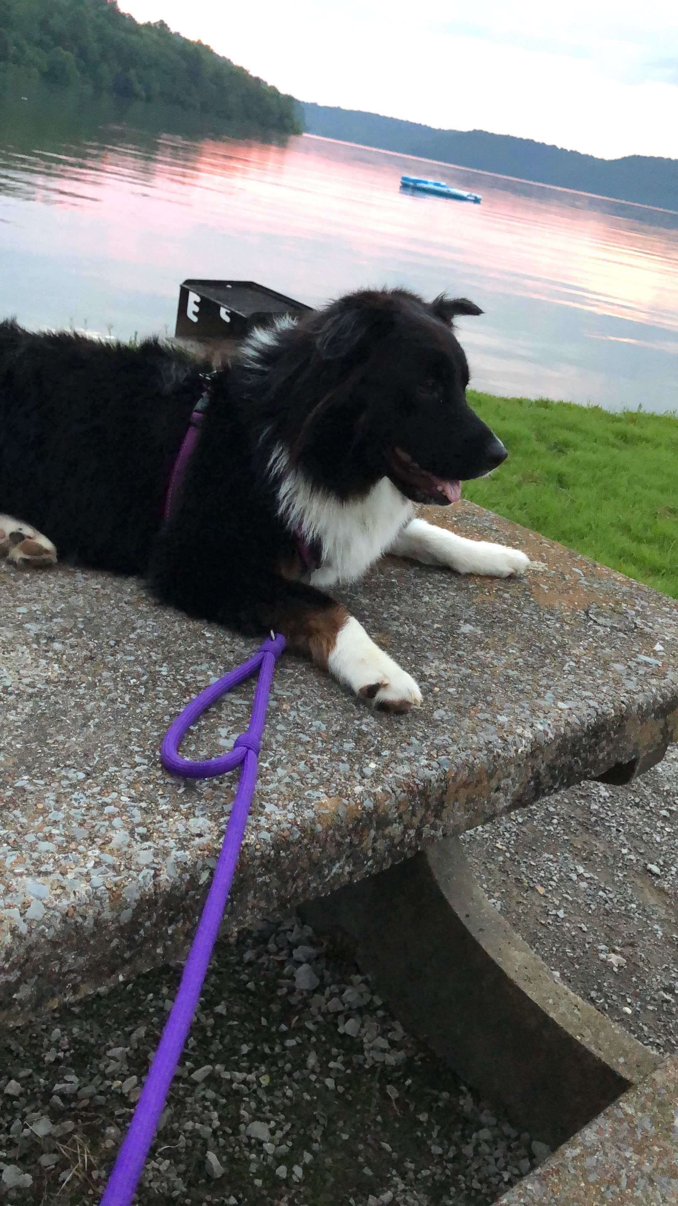 Camper-submitted photo at Barton Springs Campground near Tullahoma, TN