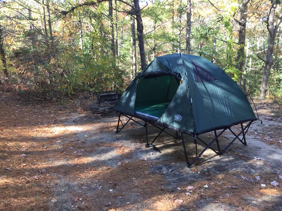 Camper submitted image from Shawme Crowell State Forest - 4