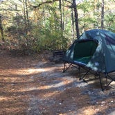 Review photo of Shawme Crowell State Forest by Gina M., August 6, 2018