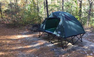 Gina M.'s photo at Shawme Crowell State Forest Campground near Orleans, MA