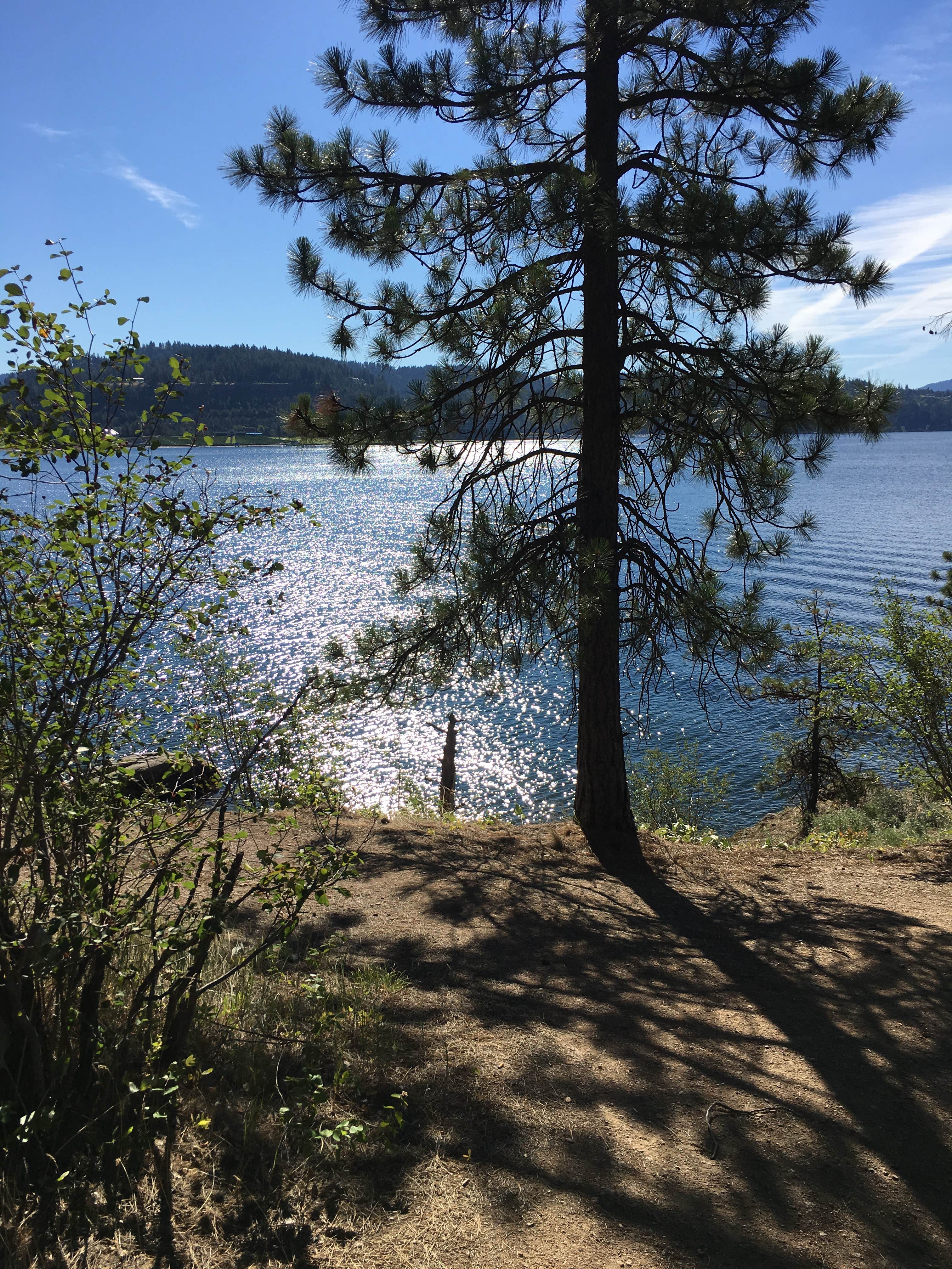 Camper submitted image from Coeur d'Alene River Area - 2