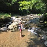 Review photo of Stony Fork Creek Campground  by Gina M., August 6, 2018