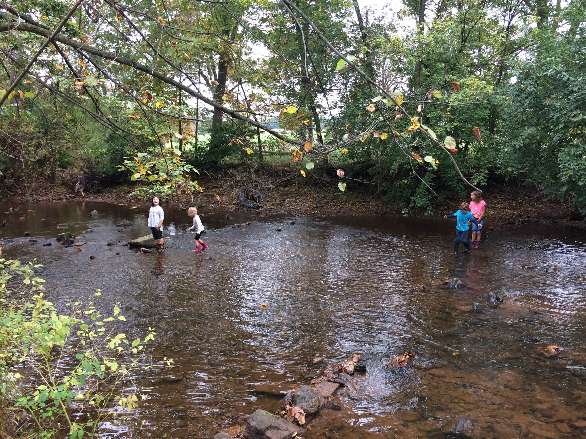 Creek