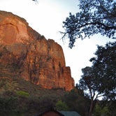Review photo of Zion RV and Campground (Hi-Road) by Carla S., July 30, 2016