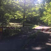 Review photo of Rocky Bluff Campground — National Forests In North Carolina by Theresa P., August 6, 2018