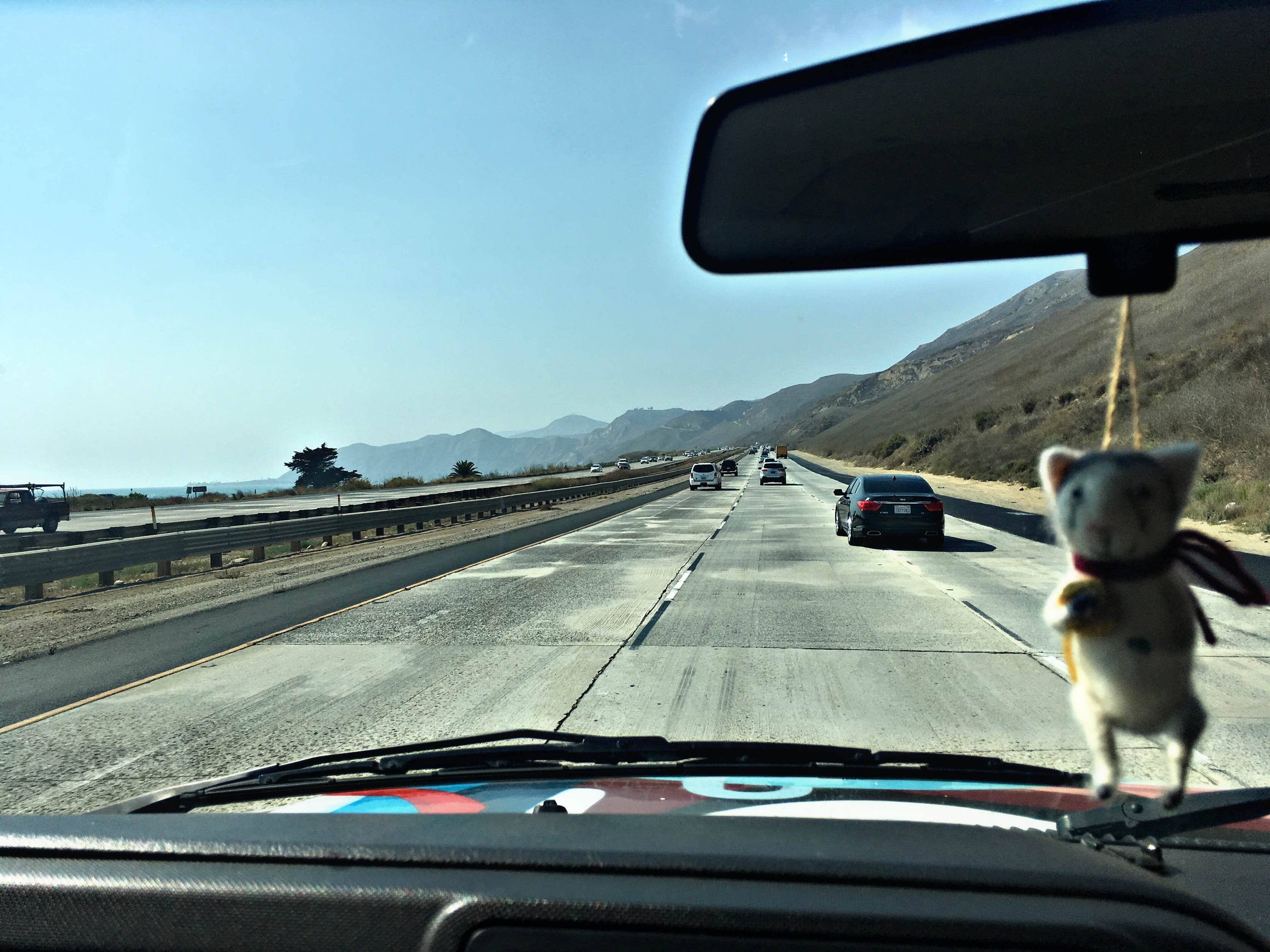Chanel C.'s photo of camping with pets at TV Tower Road Dispersed Camping near Santa Maria, CA