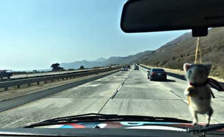 Chanel C.'s photo of camping with pets at TV Tower Road Dispersed Camping near Santa Maria, CA