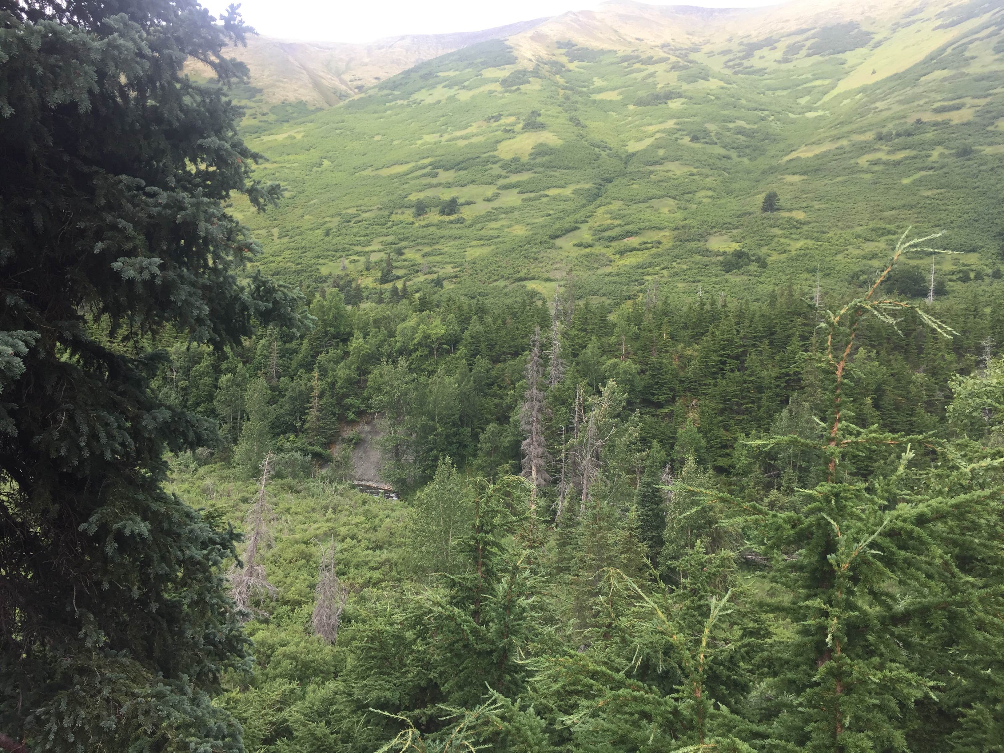 Camper-submitted photo at Coeur D'Alene Campground near Anchorage, AK