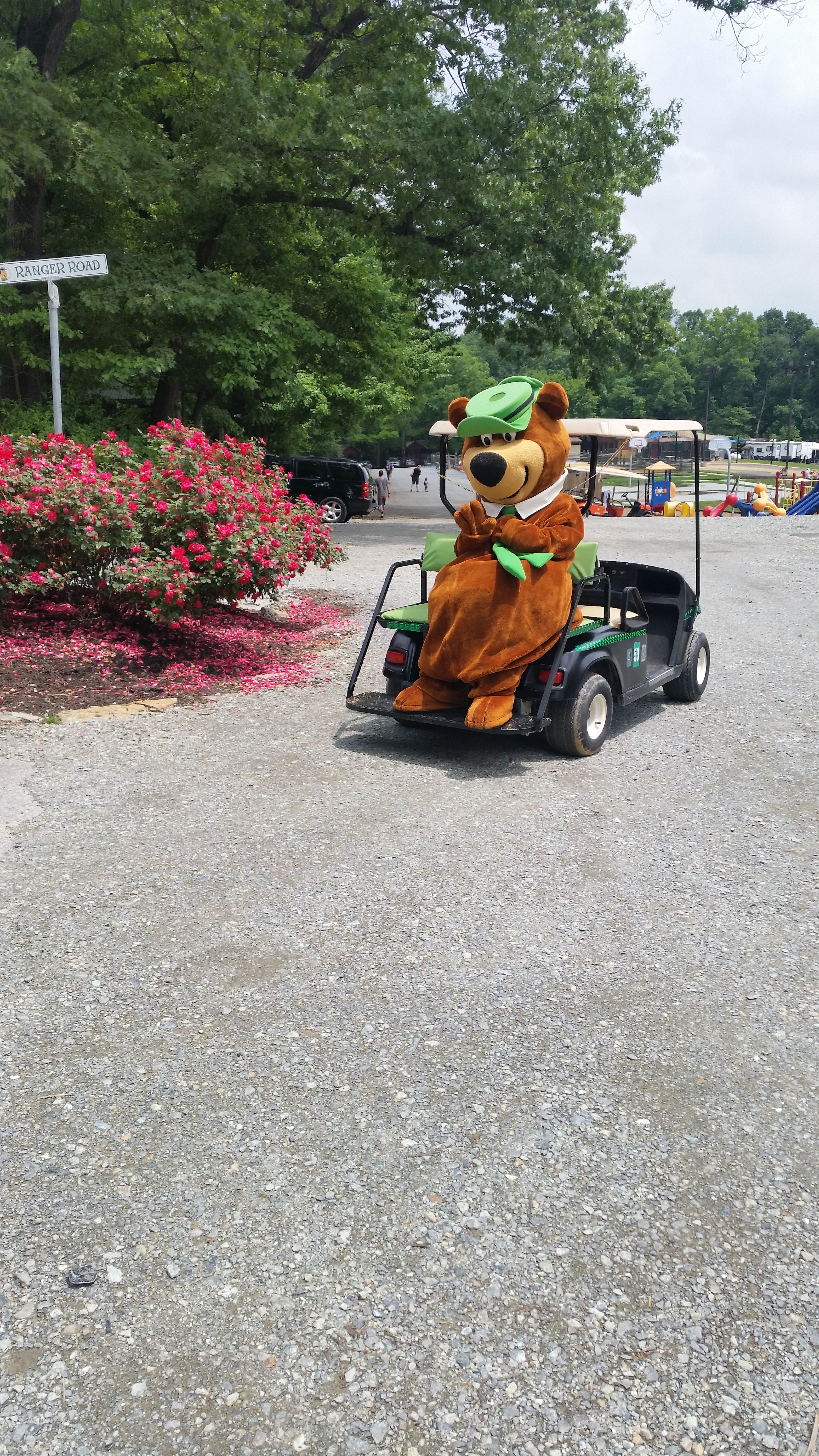 Camper submitted image from Yogi Bear’s Jellystone Park at Quarryville - 2