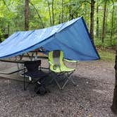Review photo of Cades Cove Campground by Tiffany M., August 6, 2018
