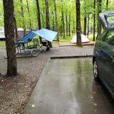 Review photo of Cades Cove Campground by Tiffany M., August 6, 2018