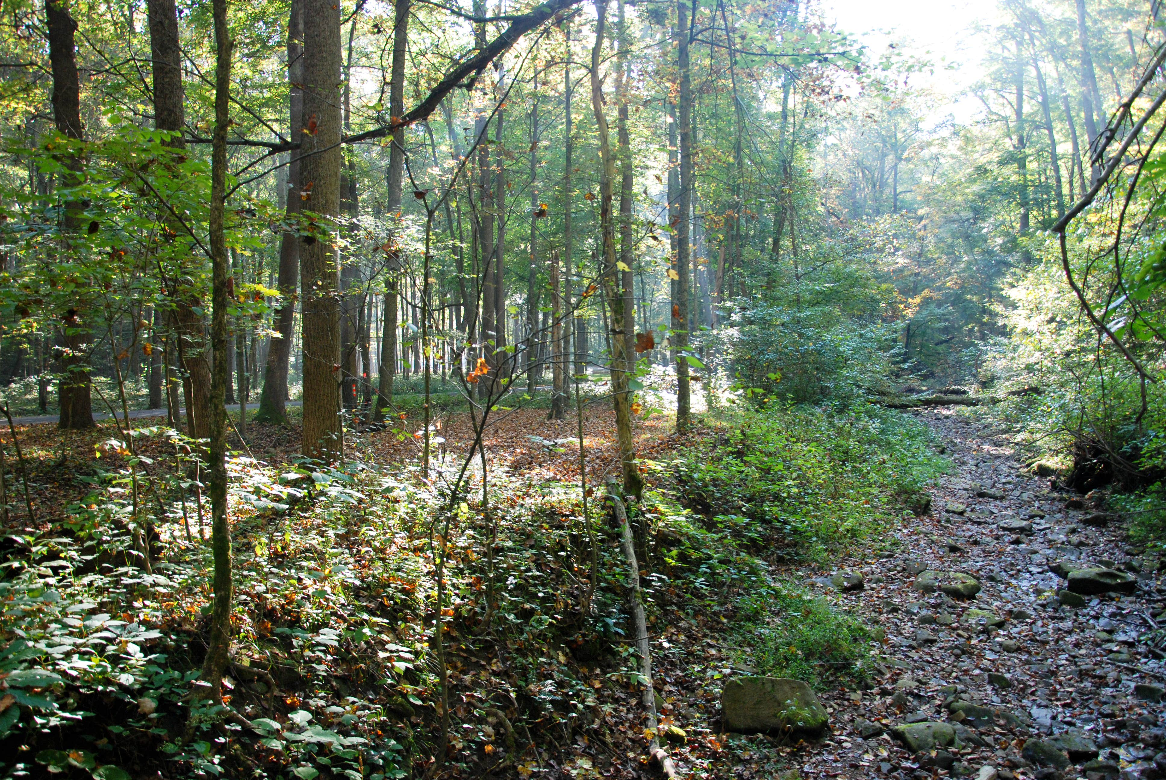 Camper submitted image from Pike Lake State Park Campground - 2