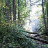 Review photo of Pike Lake State Park Campground by Leon H., August 6, 2018