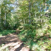 Review photo of Pike Lake State Park Campground by Leon H., August 6, 2018