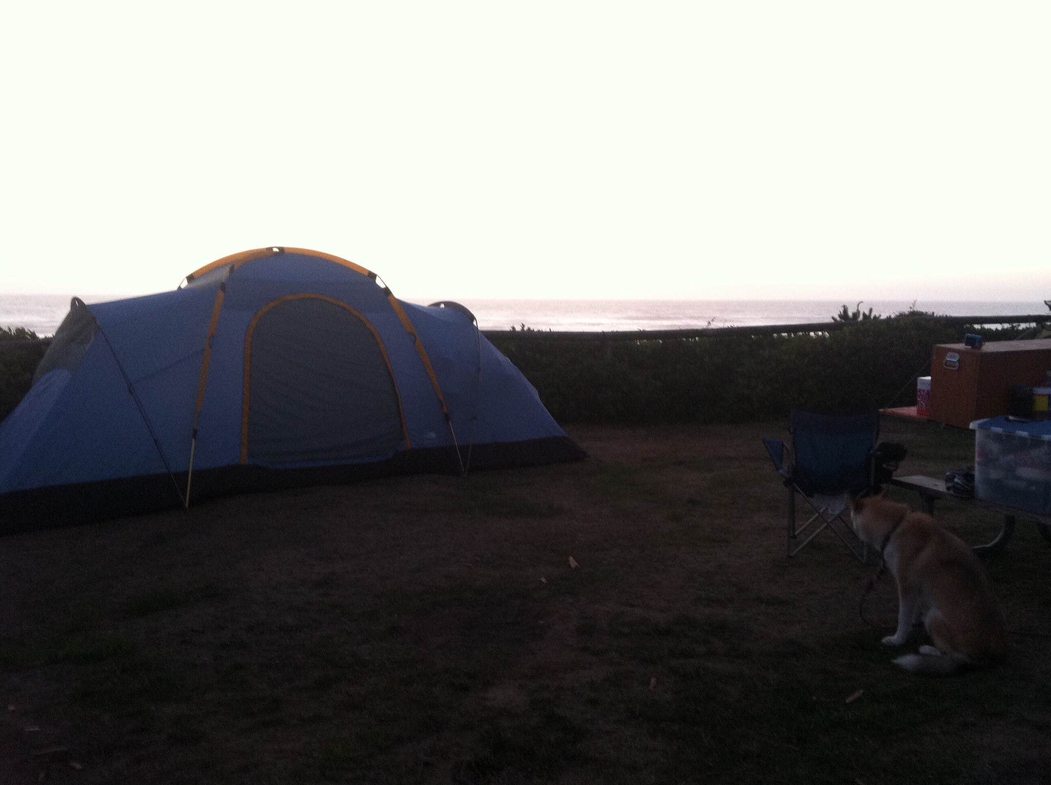 Trisha C.'s photo at Tillicum Beach Campground near Seal Rock, OR