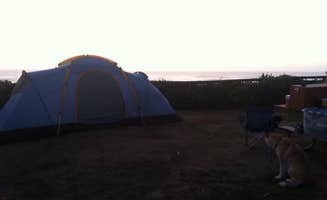 Trisha C.'s photo at Tillicum Beach Campground near Waldport, OR