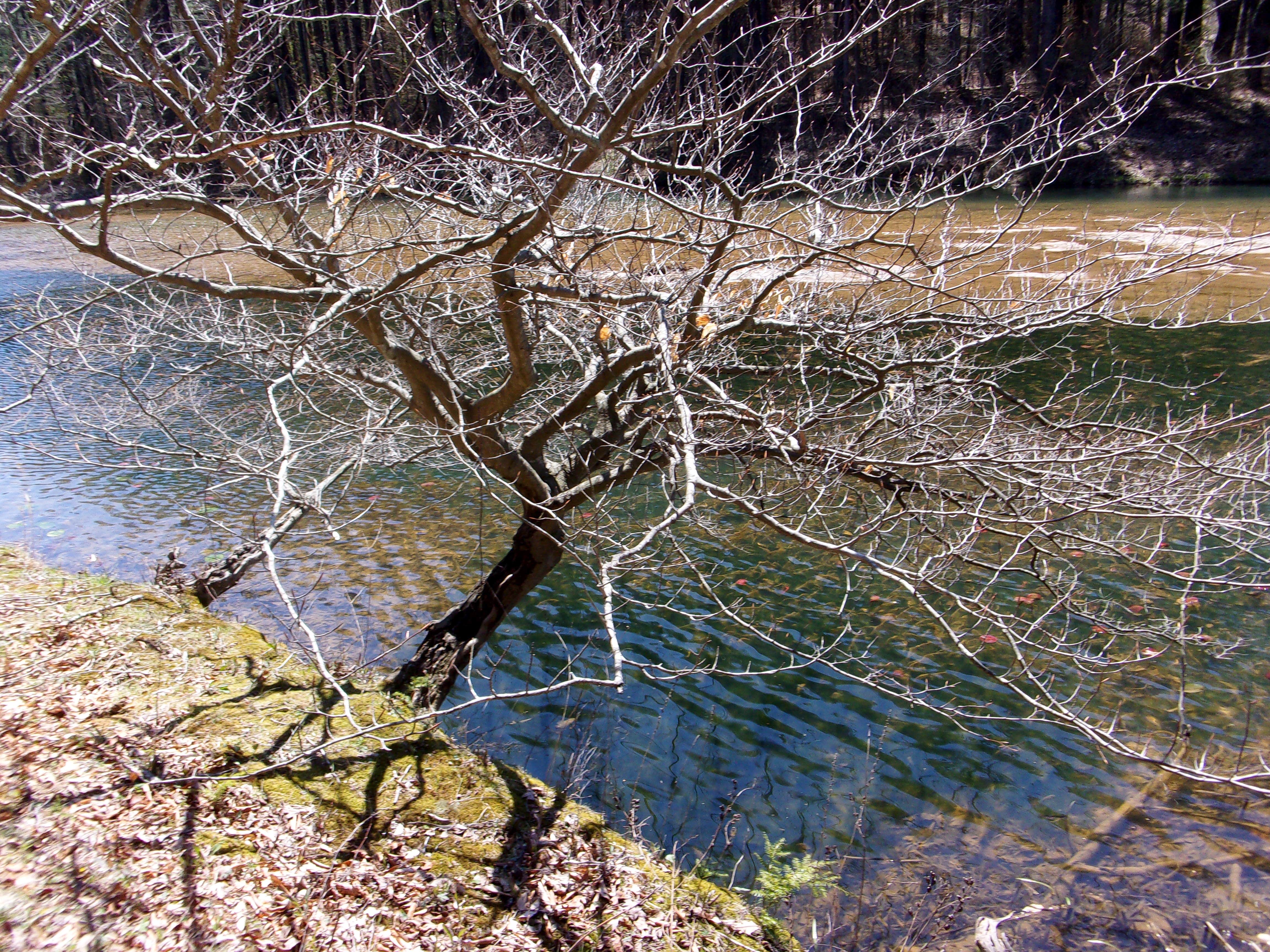 Camper-submitted photo at Lake Hope State Park Campground near Lockbourne, OH