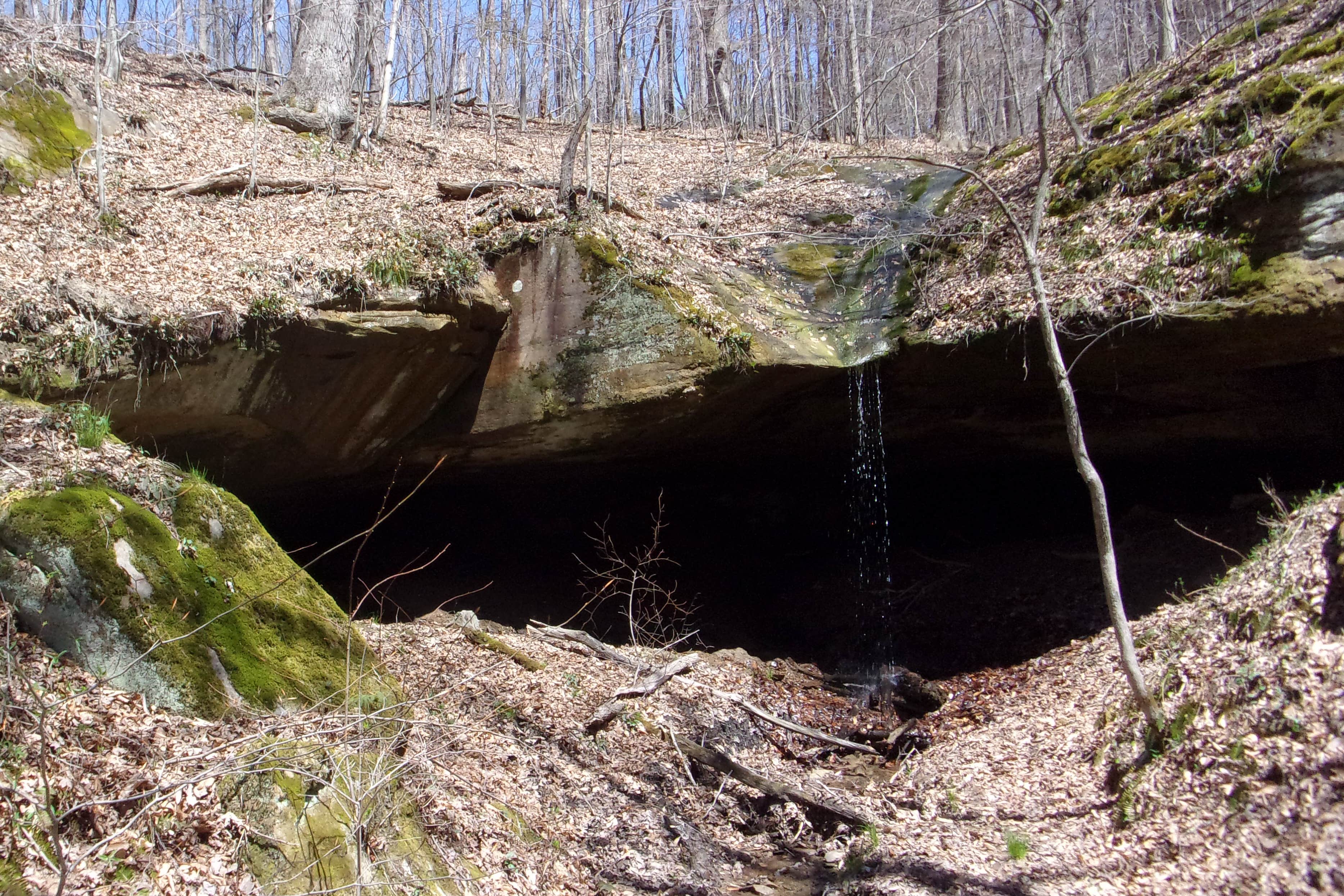 White Oak Trail