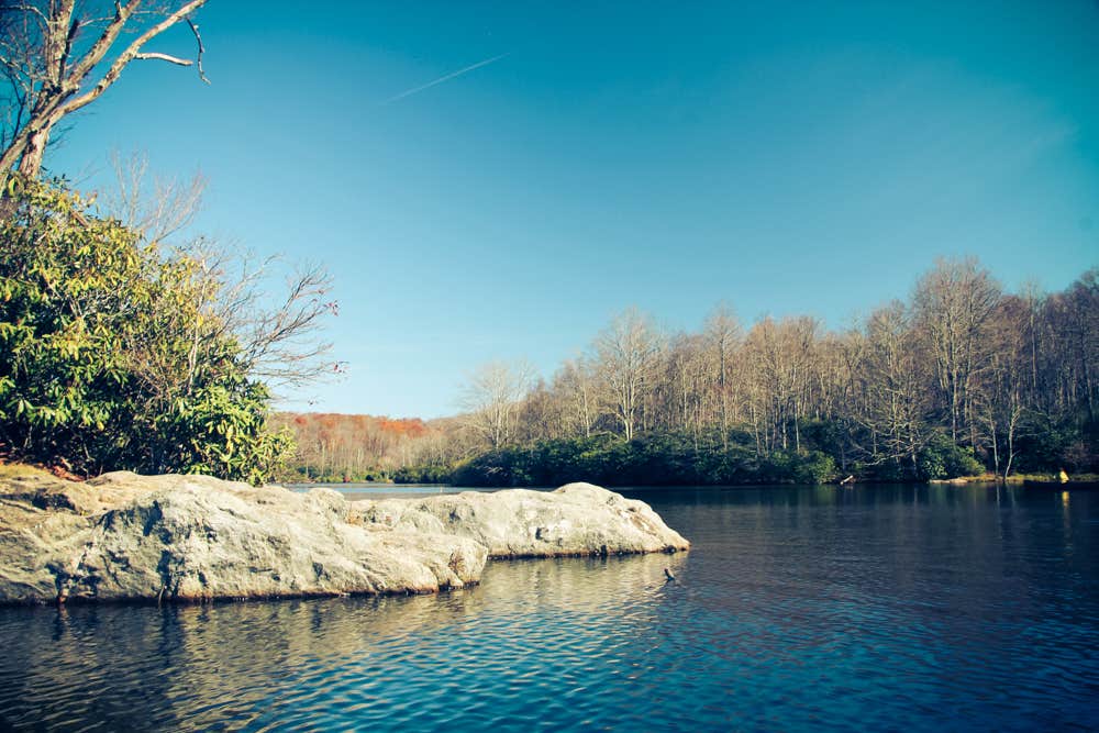 Camper submitted image from Julian Price Park Campground — Blue Ridge Parkway - 3