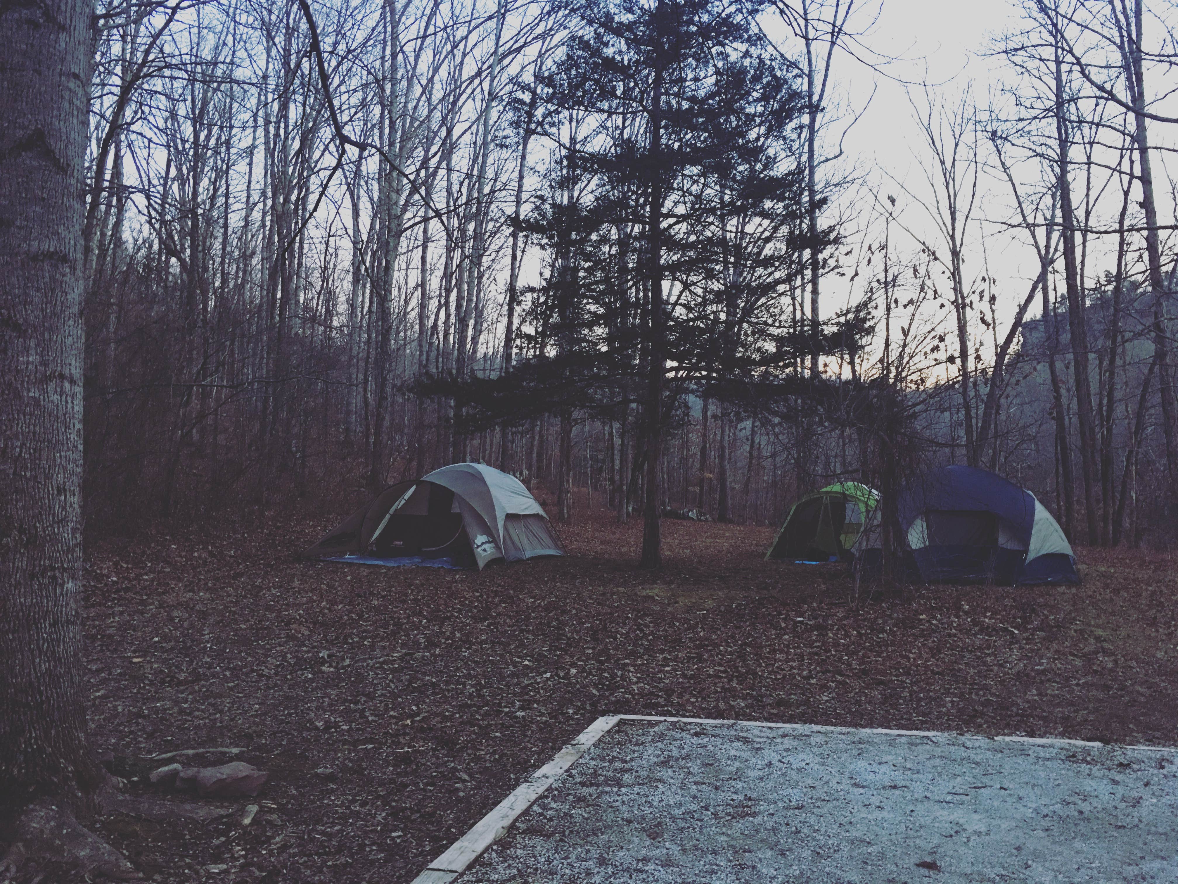 Camper submitted image from Richland Creek Recreation Area - 5