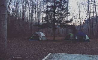 Lindsey S.'s photo at Richland Creek Recreation Area near Mount Judea, AR