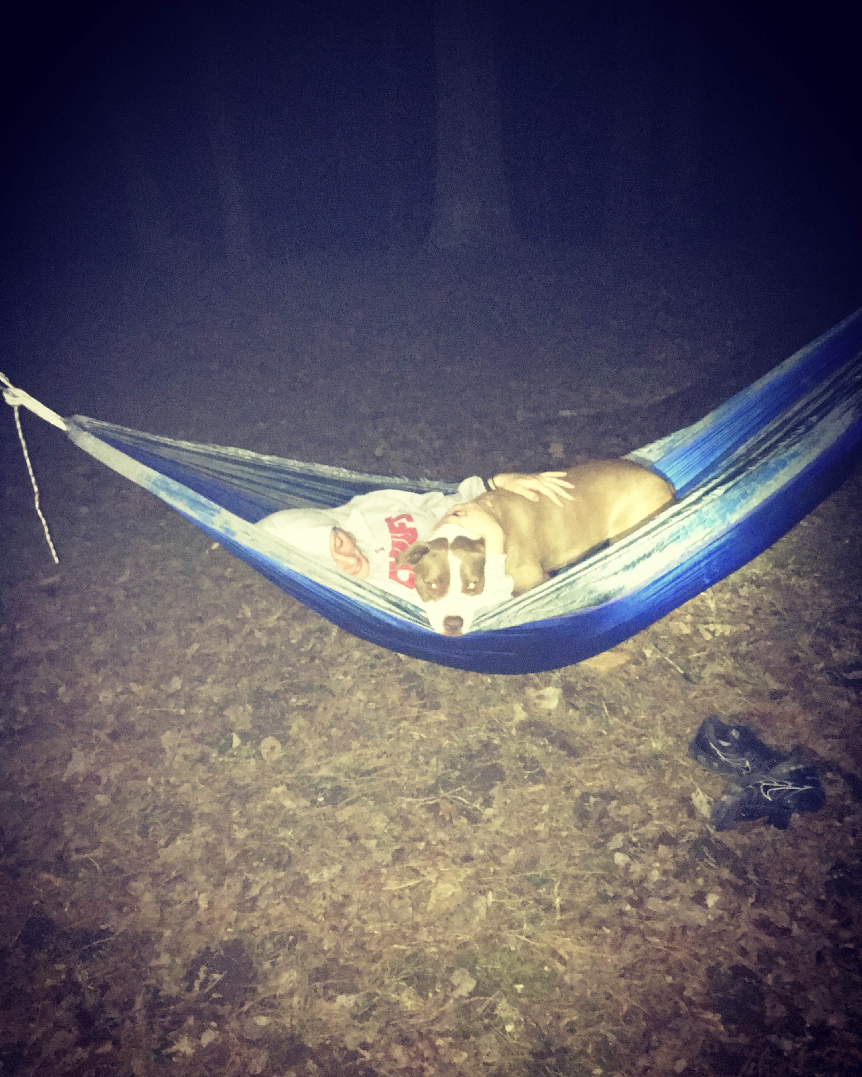Camper submitted image from Richland Creek Recreation Area - 3