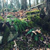 Review photo of Richland Creek Recreation Area by Lindsey S., August 6, 2018