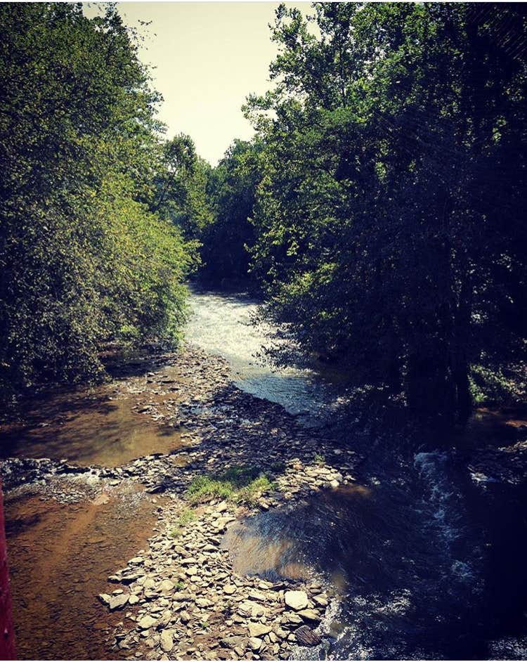 Camper submitted image from Pequea Creek Campground  - 2