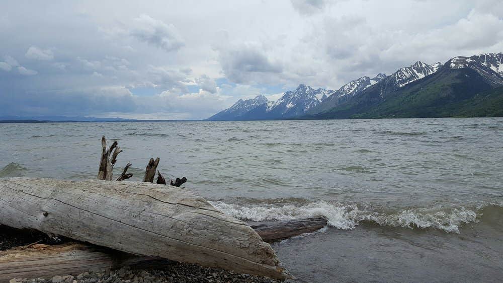 Camper submitted image from Lizard Creek Campground — Grand Teton National Park - 4