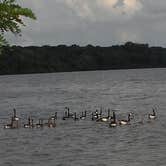 Review photo of Buck Creek State Park Campground by Leon H., August 6, 2018