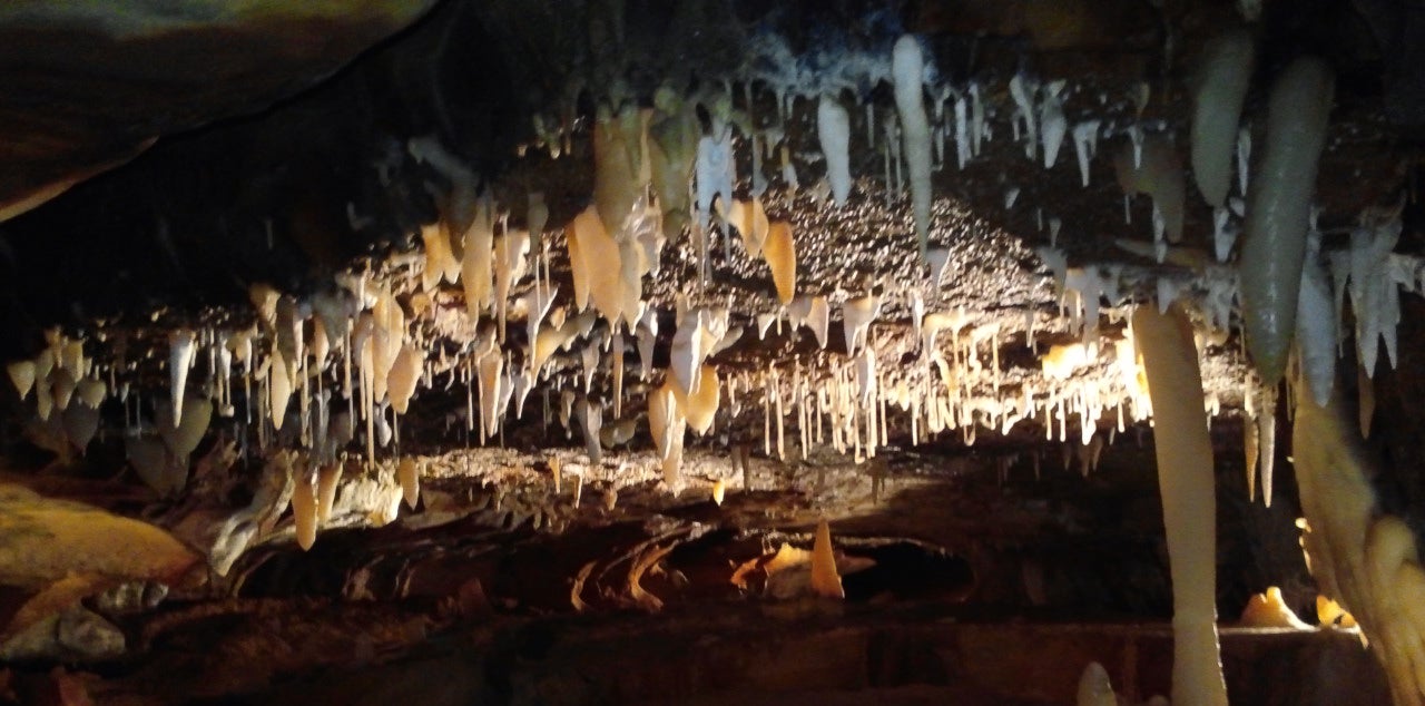 Ohio Caverns, worth the drive and cost of admission.